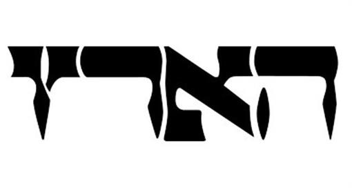 כתבה מתוך עיתון 